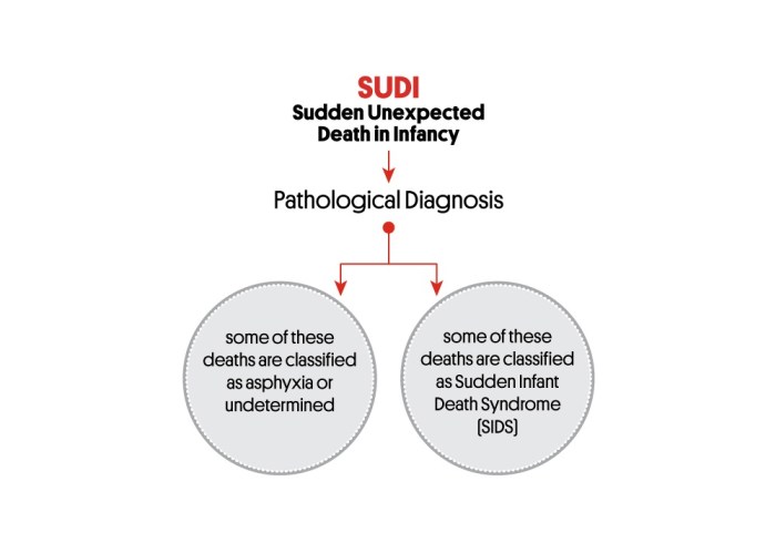 What does SUD mean in medical terms?